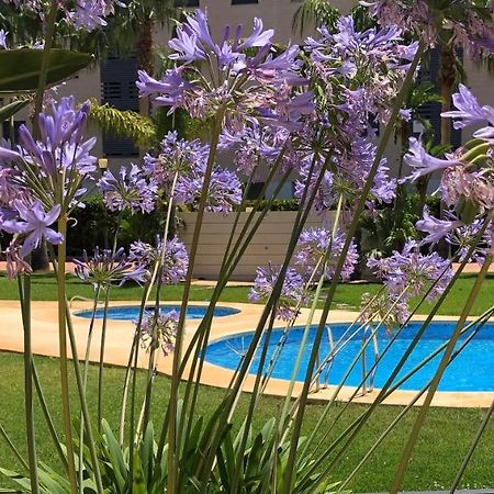Apartment De Jardines Дения Экстерьер фото